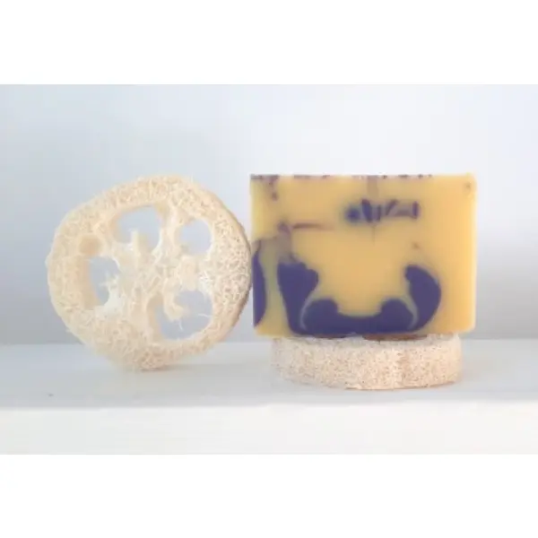 Porte Savon Luffah