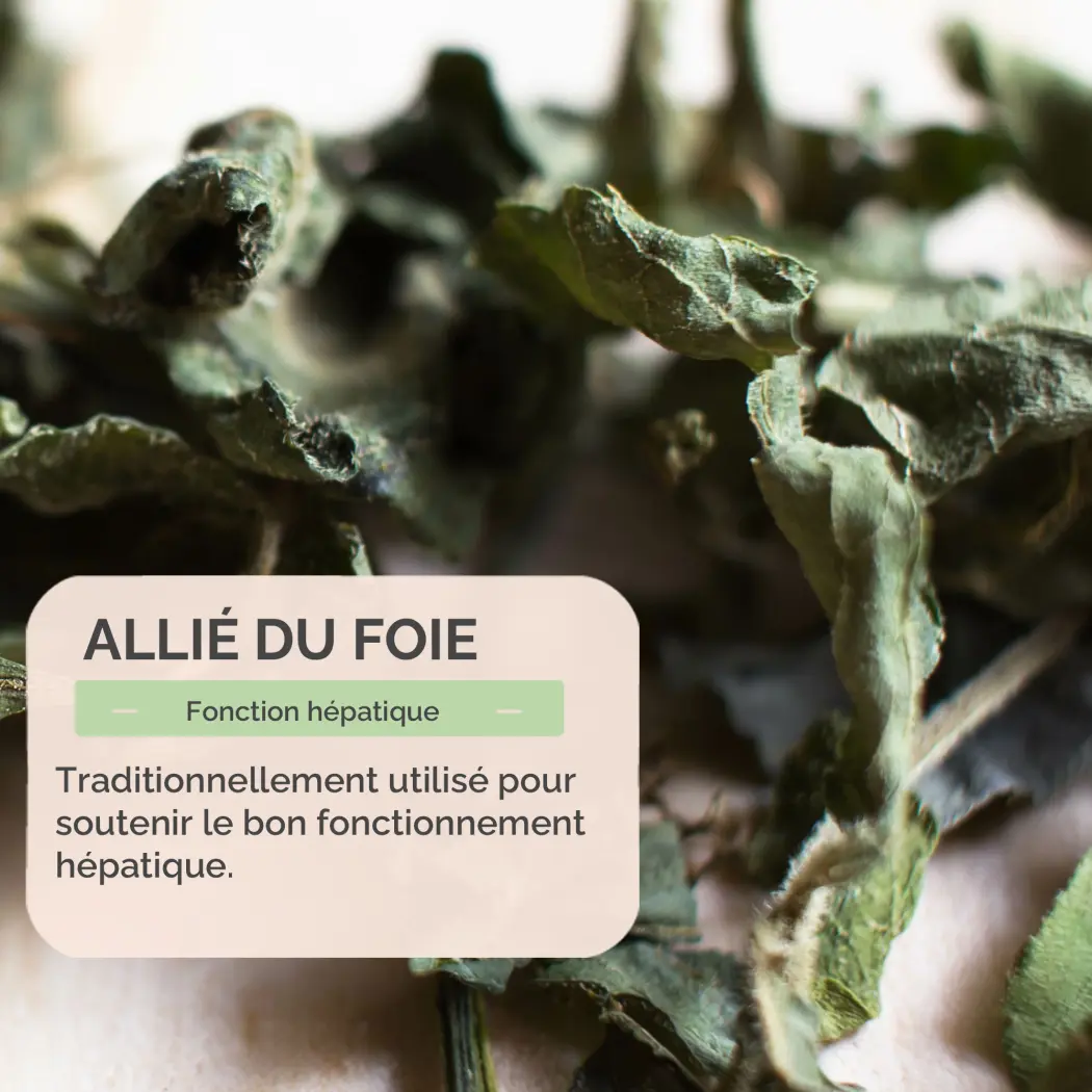 Tisane de Pissenlit BIO - Feuille coupée - Infusion Organic - Aide au bon fonctionnement de la Digestion et du Système Immunitaire - Antioxydant - 1 sachet de 40g Certifiée AB - Herbes du Monde — Herbes du Monde