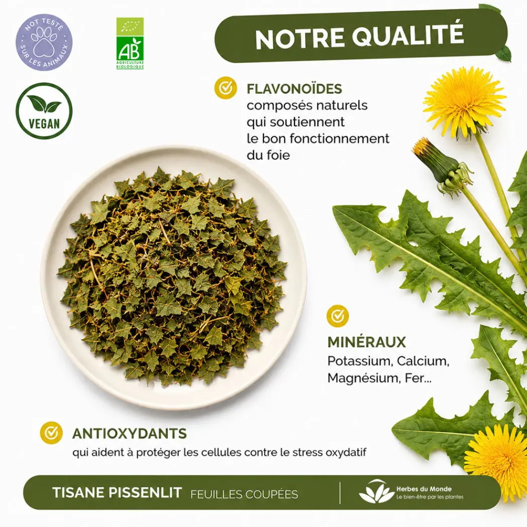 Tisane de Pissenlit BIO - Feuille coupée - Infusion Organic - Aide au bon fonctionnement de la Digestion et du Système Immunitaire - Antioxydant - 1 sachet de 40g Certifiée AB - Herbes du Monde — Herbes du Monde