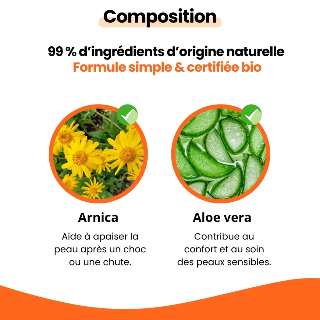 GEL ARNICA BIO — LCA Aroma