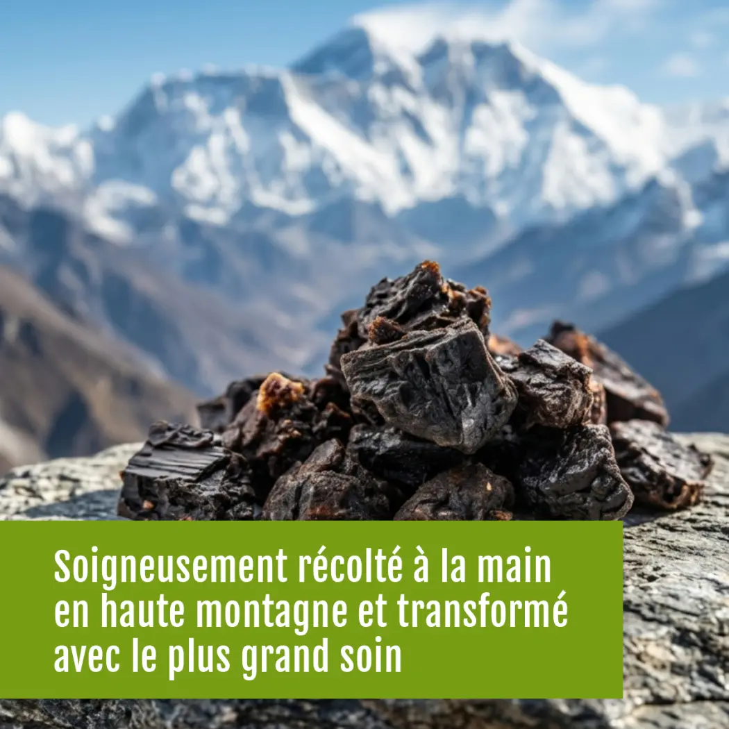 TC_Shilajit_60Kps_FR-05