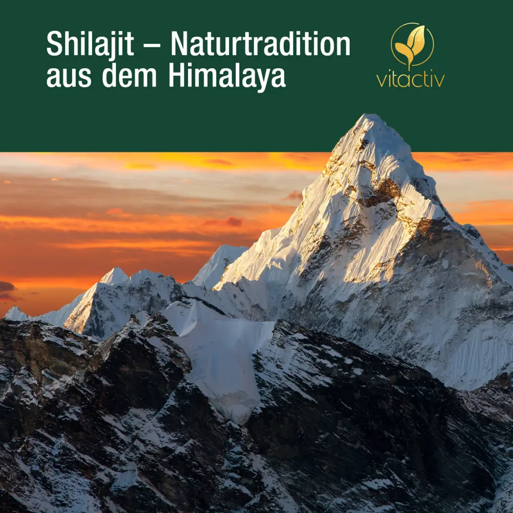 A122-Shilajit-20771917-03-1200px