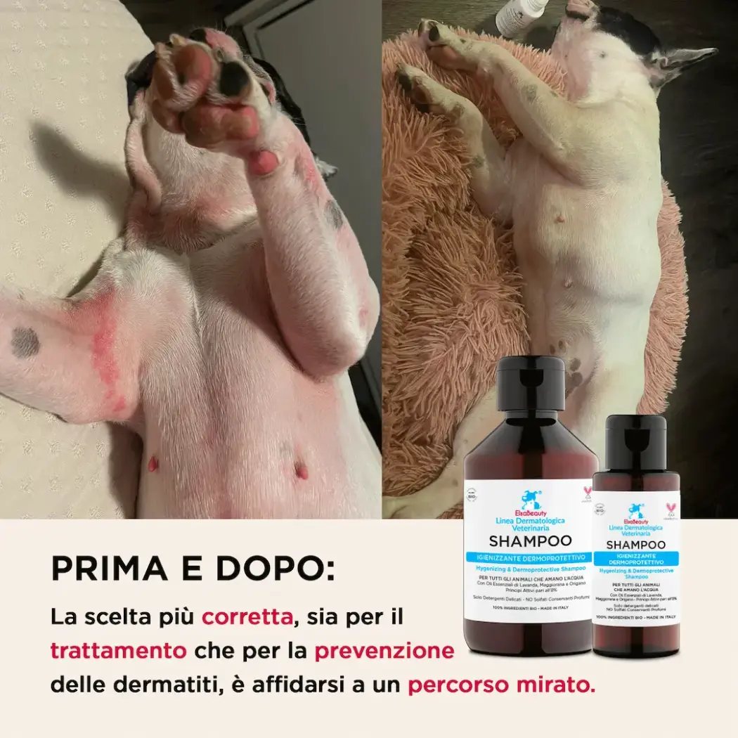 shampoo-cane-prurito-dermatite-prima-dopo