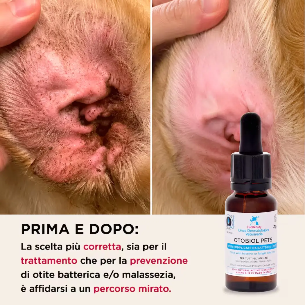 Otobiol Pets - Inflammations Bactériennes - Oreilles Chiens & Chats — ElsaBeauty