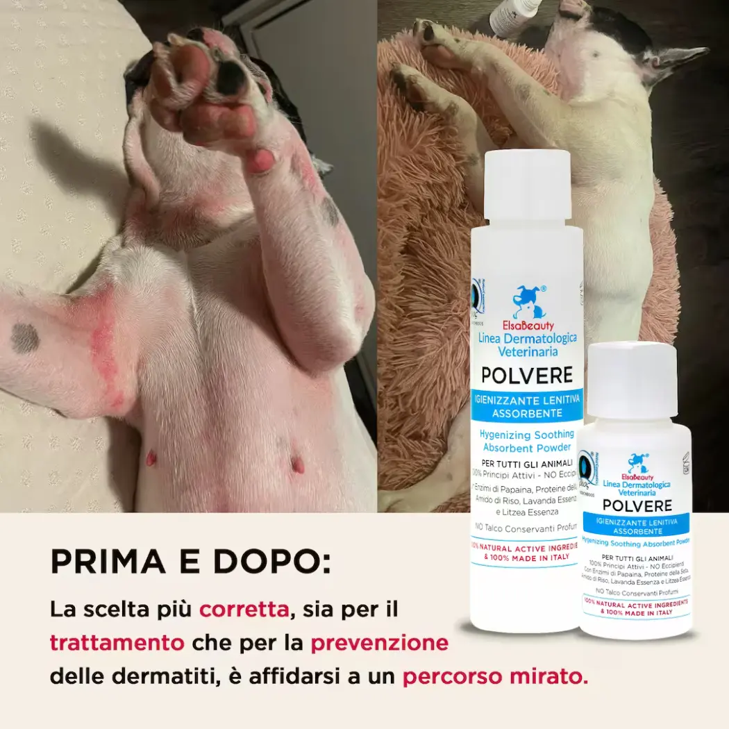 ELSABEAUTY-PRIMA-DOPO-POLVERE-BIOS (1)