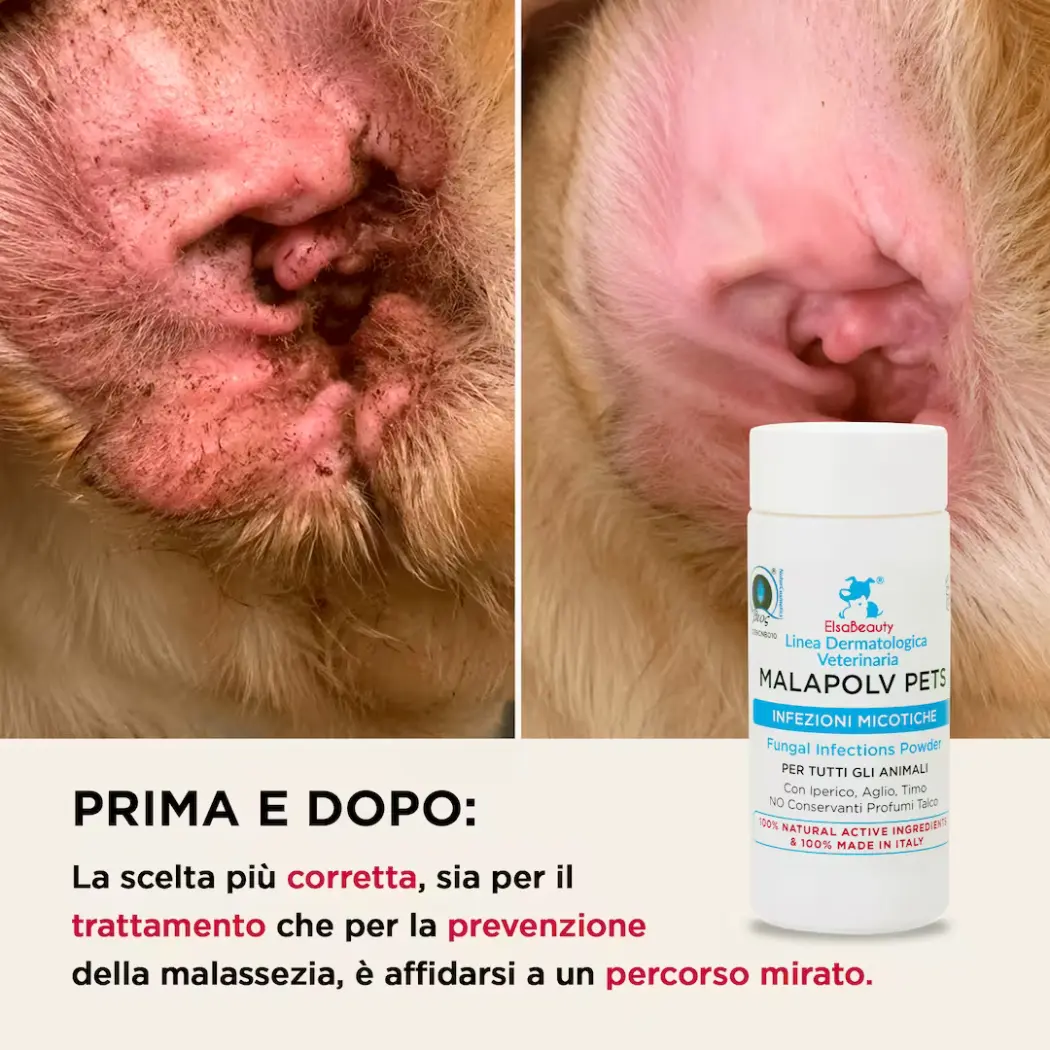 ELSABEAUTY-PRIMA-DOPO-MALAPOLV-NEW (1)