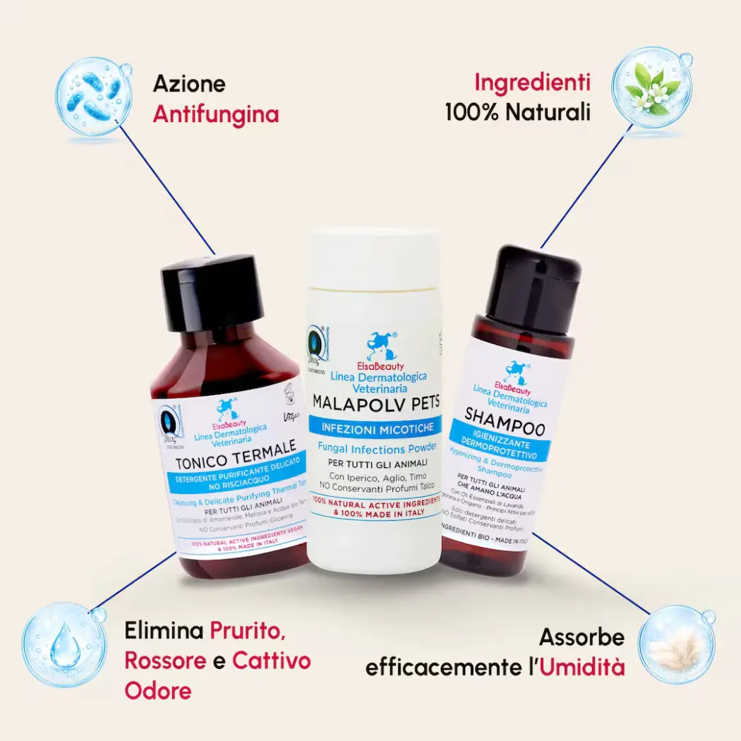 KIT Infections Fongiques Courantes Corps - Chiens & Chats — ElsaBeauty