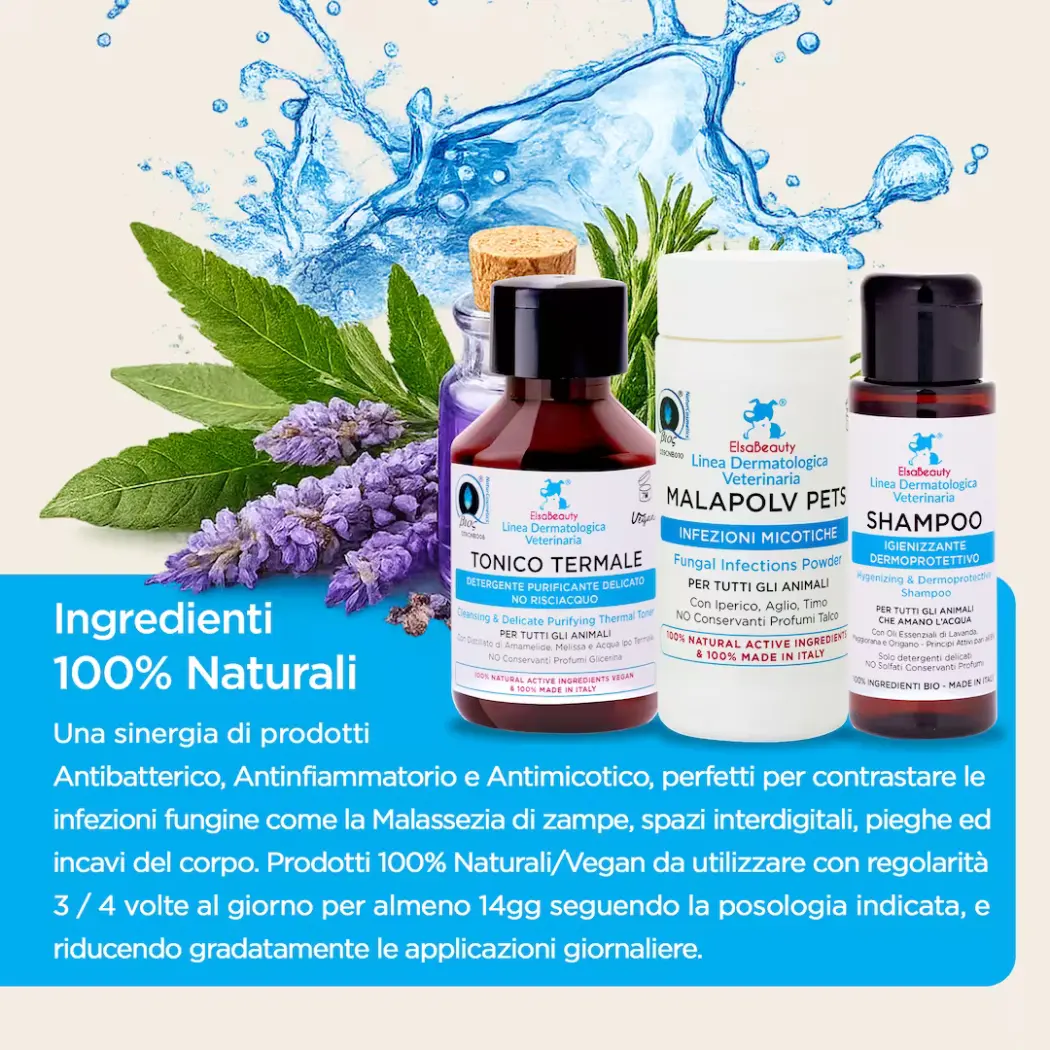 KIT Infections Fongiques Courantes Corps - Chiens & Chats — ElsaBeauty