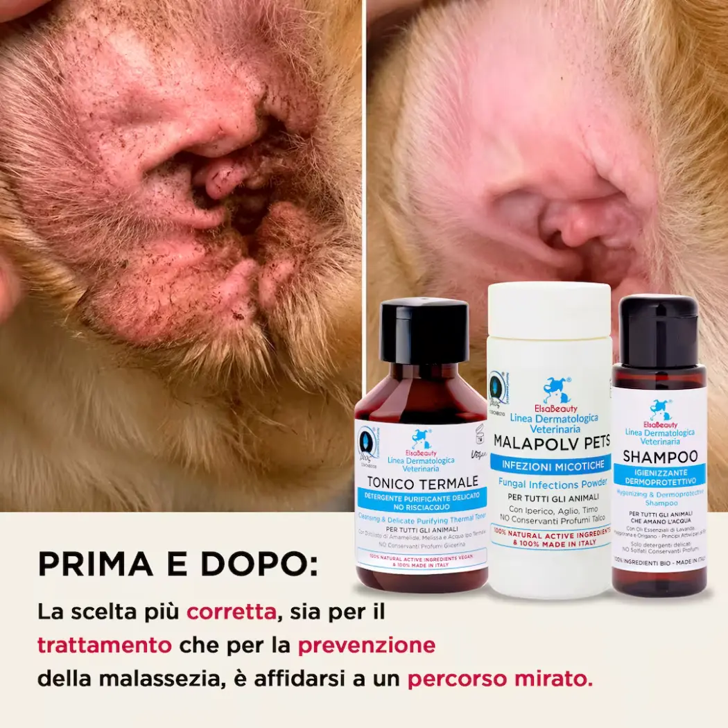KIT Infections Fongiques Courantes Corps - Chiens & Chats — ElsaBeauty