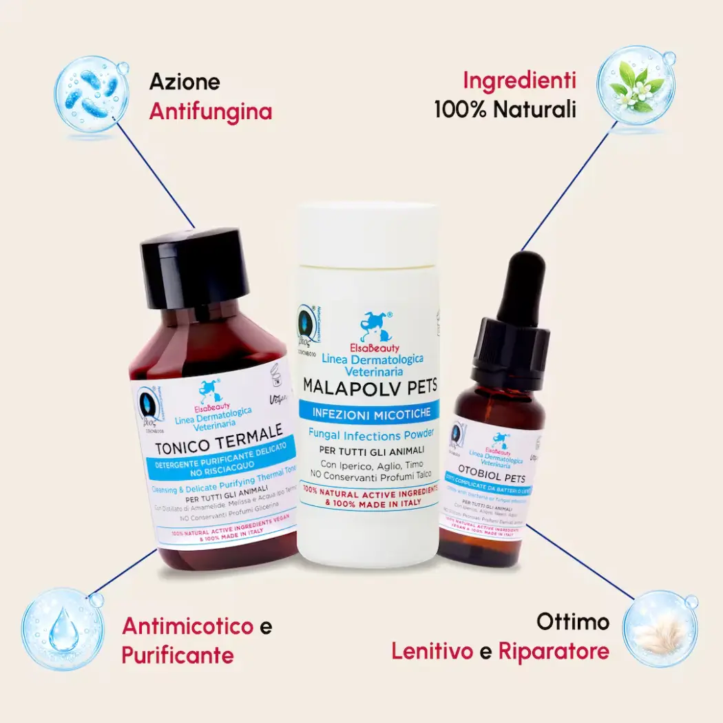 KIT Infections Fongiques Courantes Oreilles - Chiens & Chats — ElsaBeauty