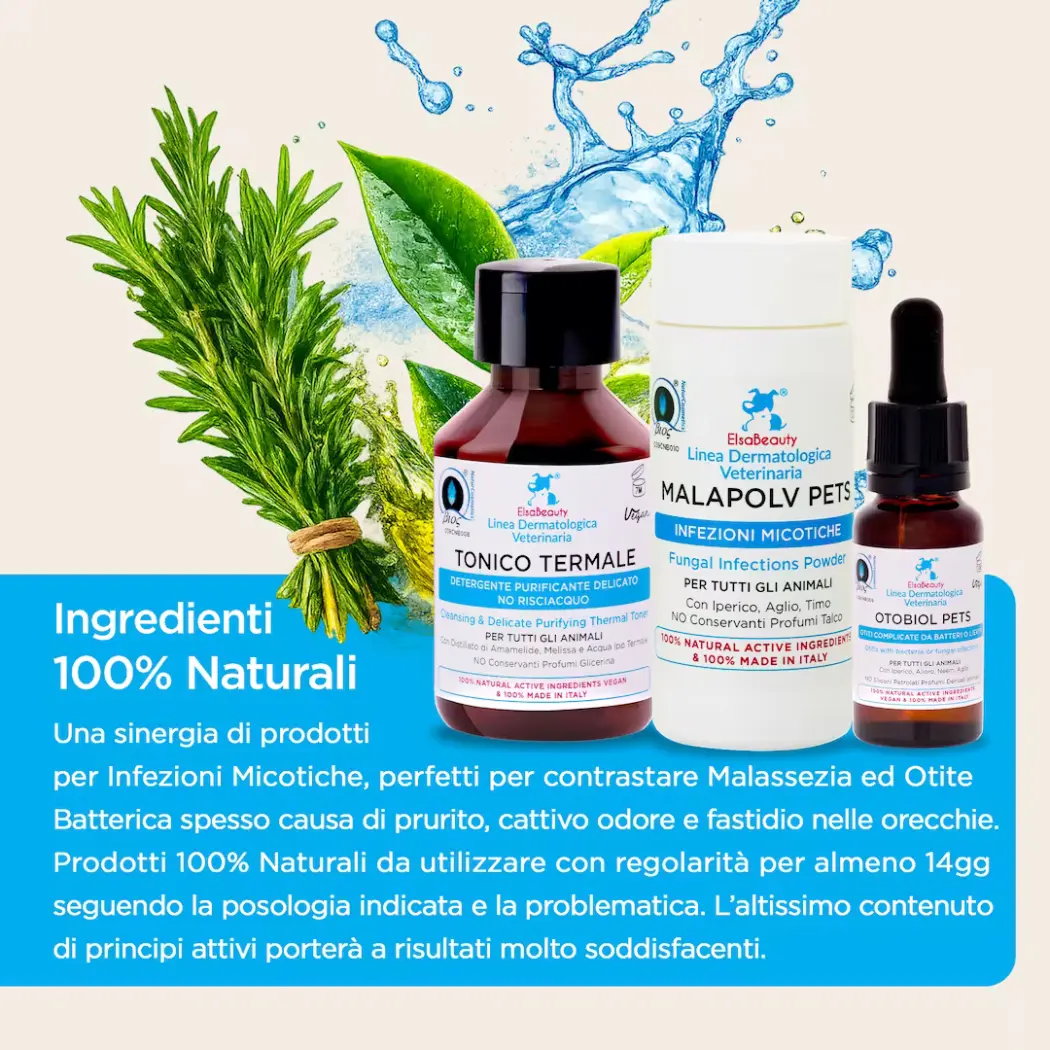 KIT Infections Fongiques Courantes Oreilles - Chiens & Chats — ElsaBeauty