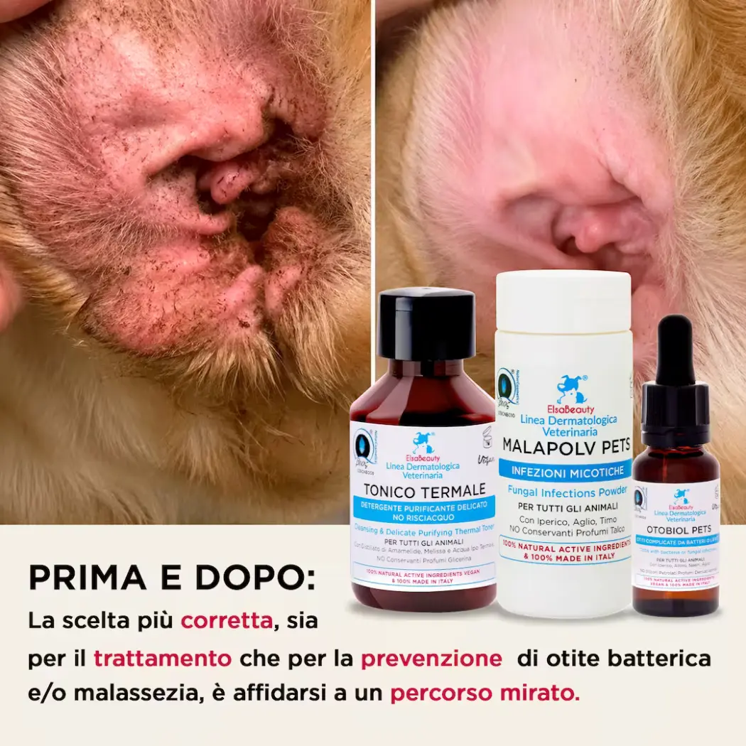 KIT Infections Fongiques Courantes Oreilles - Chiens & Chats — ElsaBeauty