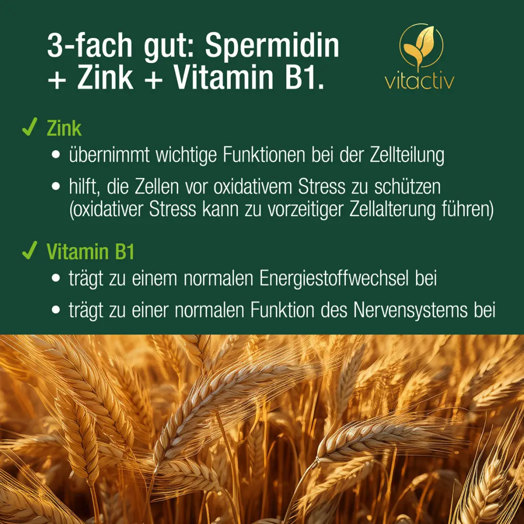 A101-Spermidin-19765260-04-1200px