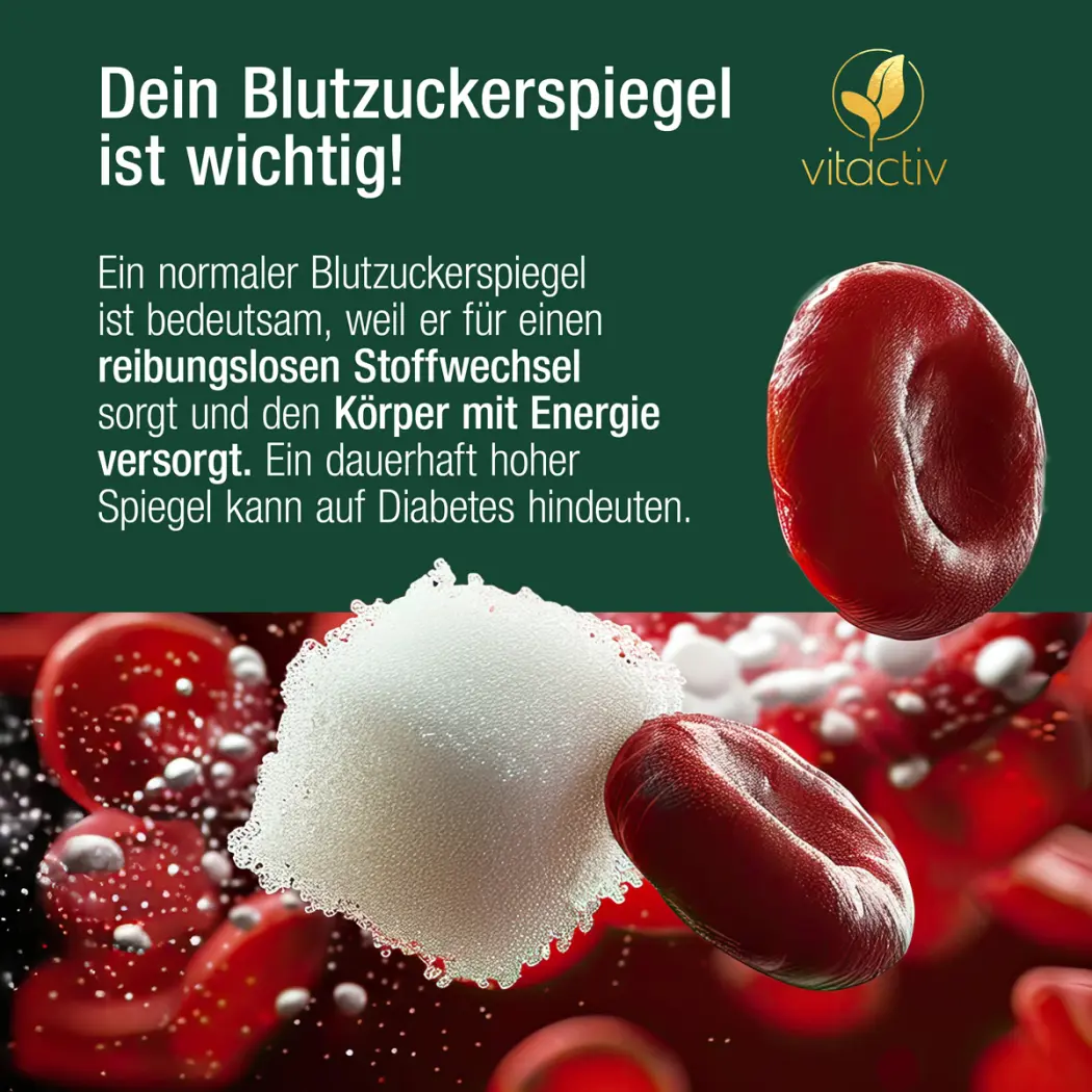 TC-A842-Blutzucker-19455803-03-1200px