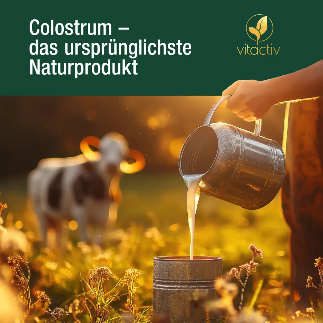 A267-Colostrum-17505081-02-1200px