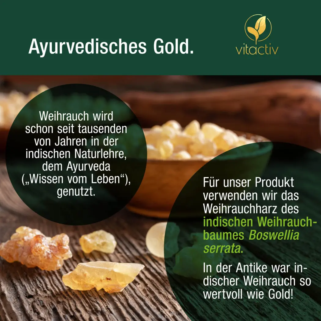 Vitactiv WEIHRAUCH Boswellia Serrata — Green Future E-Commerce GmbH