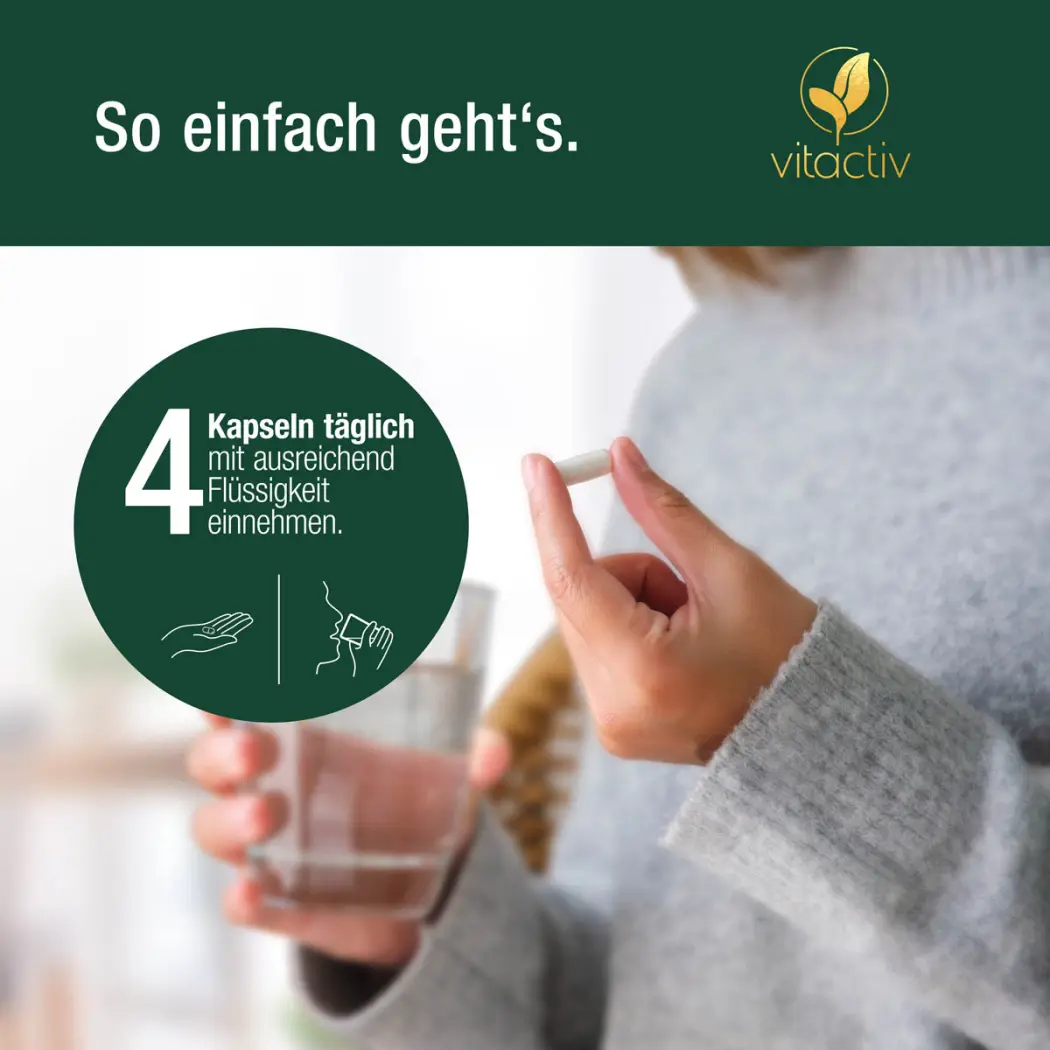 Vitactiv WEIHRAUCH Boswellia Serrata — Green Future E-Commerce GmbH