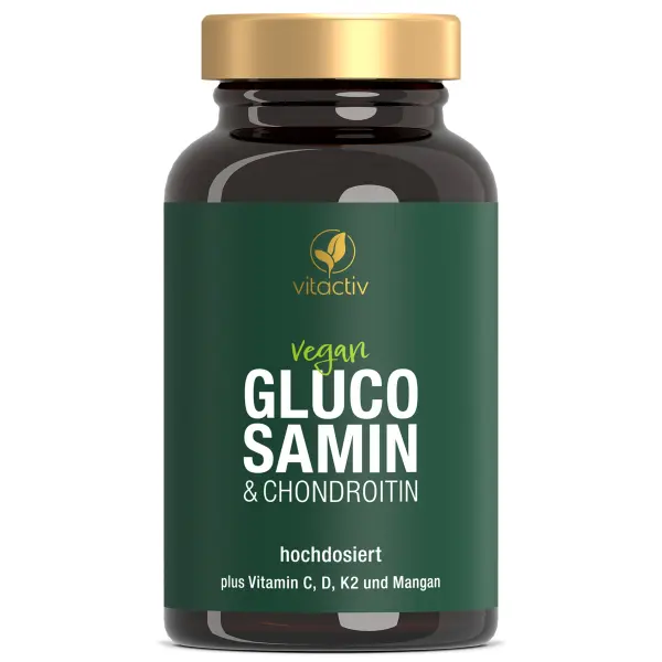 Vitactiv GLUCOSAMIN & CHONDROITIN