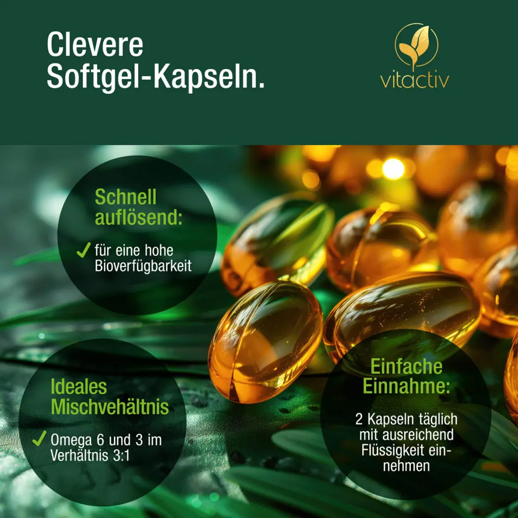 Vitactiv HANFSAMENÖL Kapseln + Vitamin E — Green Future E-Commerce GmbH