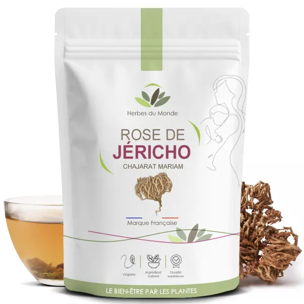 Rose de Jéricho (Anastatica hierochuntica) – 50 g