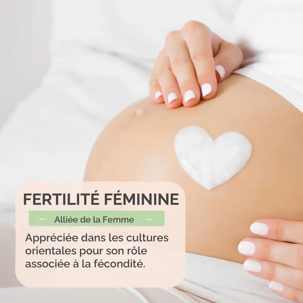 Rose de Jéricho (Anastatica hierochuntica) – Tisane Naturelle – Bien-être Féminin – Infusion Traditionnelle – Sachet 50 g – Herbes du Monde — Herbes du Monde