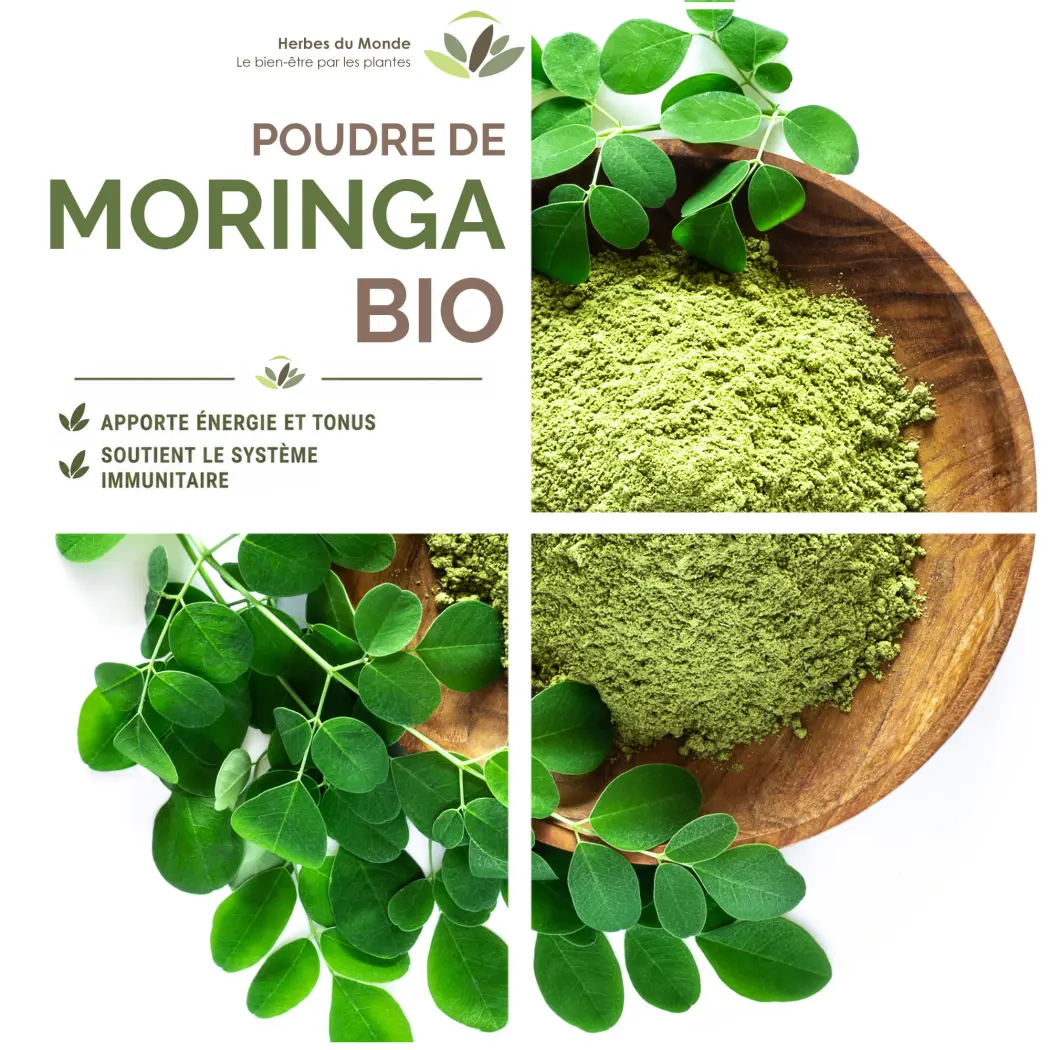 Moringa BIO de qualité supérieur - Moringa oleifera Organic - Complément alimentaire en poudre Riche en Vitamine C - Nutrition Naturelle - 1 sachet de 100g Certifiée AB — Herbes du Monde