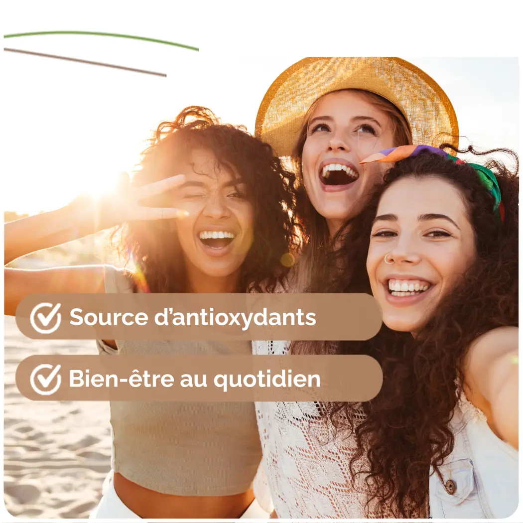 Moringa BIO de qualité supérieur - Moringa oleifera Organic - Complément alimentaire en poudre Riche en Vitamine C - Nutrition Naturelle - 1 sachet de 100g Certifiée AB — Herbes du Monde