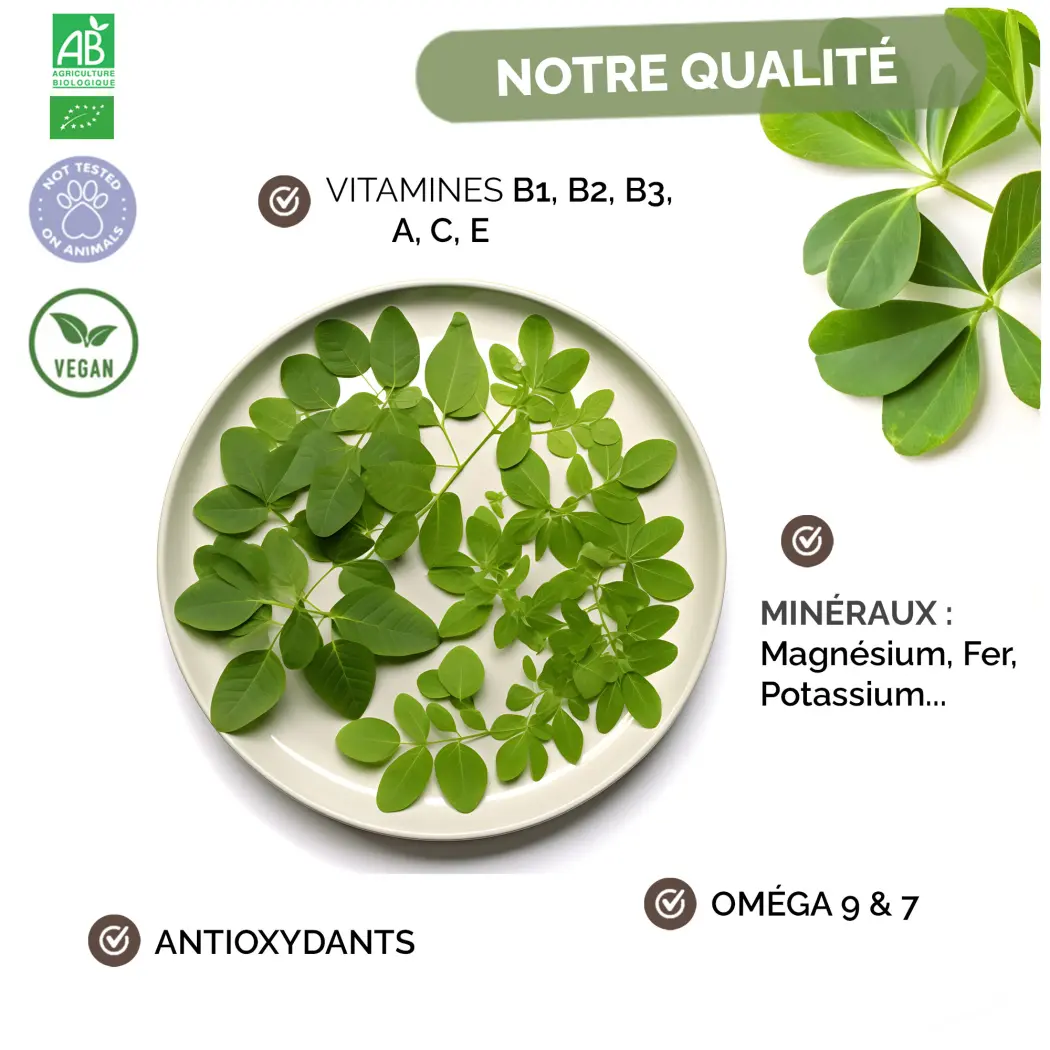 Moringa BIO de qualité supérieur - Moringa oleifera Organic - Complément alimentaire en poudre Riche en Vitamine C - Nutrition Naturelle - 1 sachet de 100g Certifiée AB — Herbes du Monde