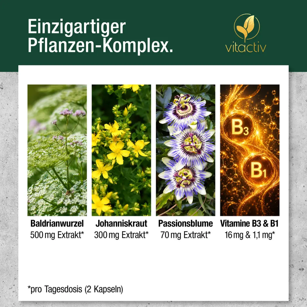 Vitactiv NERVEN Komplex — Green Future E-Commerce GmbH