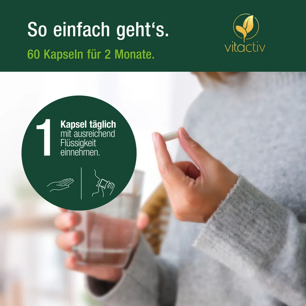 Vitactiv ROTER REIS (Monacolin K) + Cholin + Zink — Green Future E-Commerce GmbH