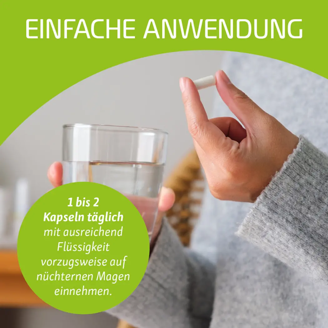 Bifidus Life – Bifidobacterium breve — NutriLife