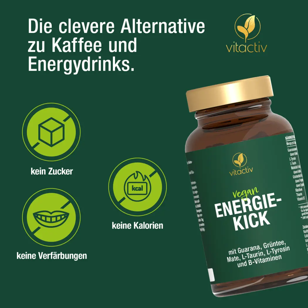 Vitactiv ENERGIE-KICK — Green Future E-Commerce GmbH