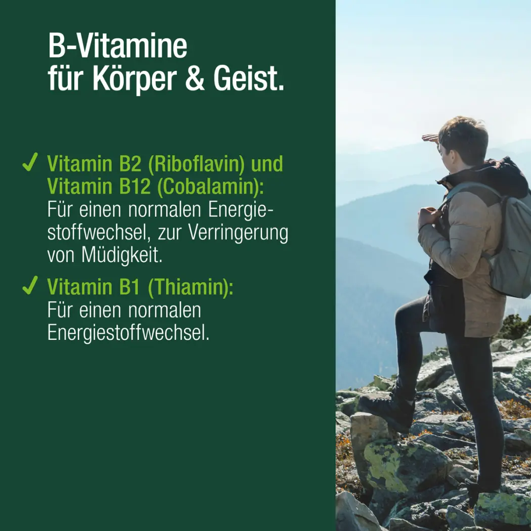 Vitactiv ENERGIE-KICK — Green Future E-Commerce GmbH