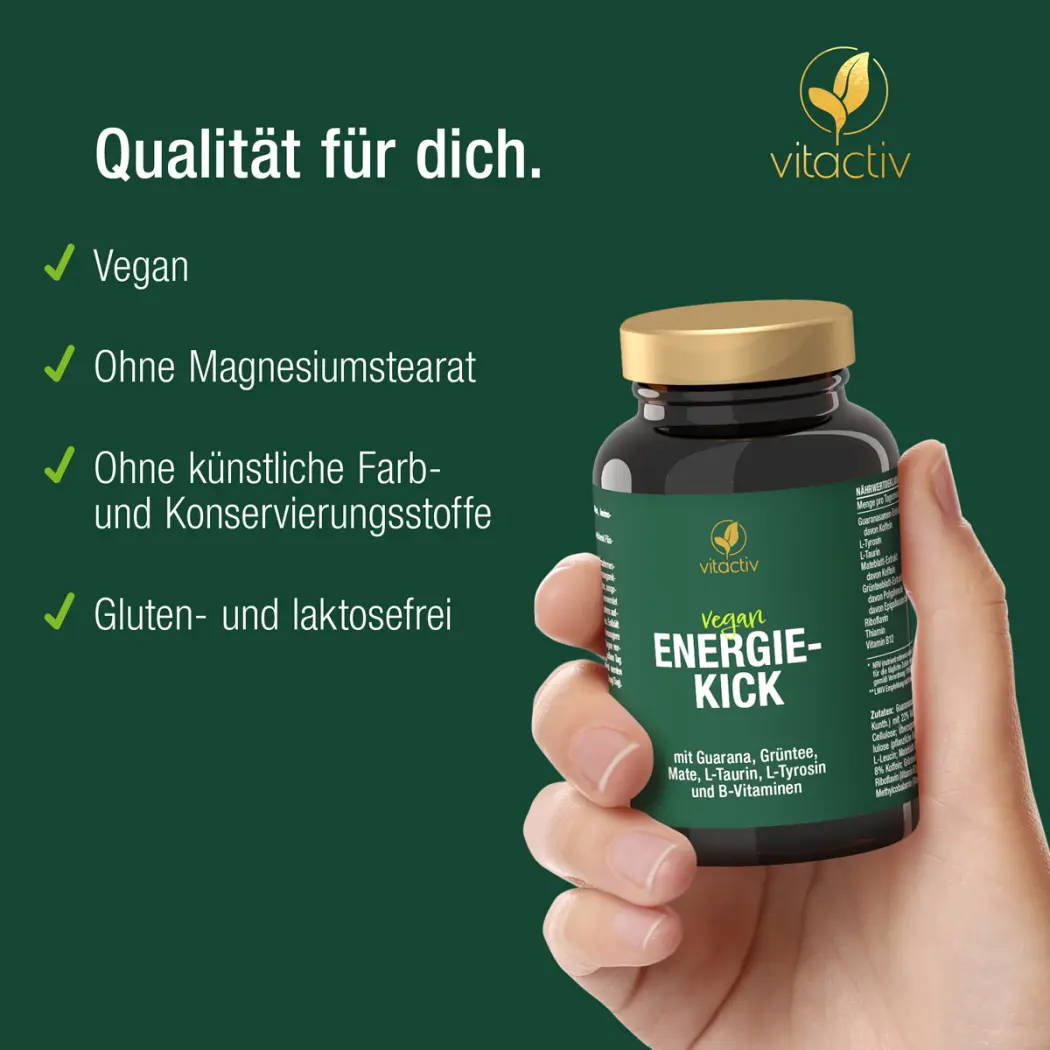 Vitactiv ENERGIE-KICK — Green Future E-Commerce GmbH
