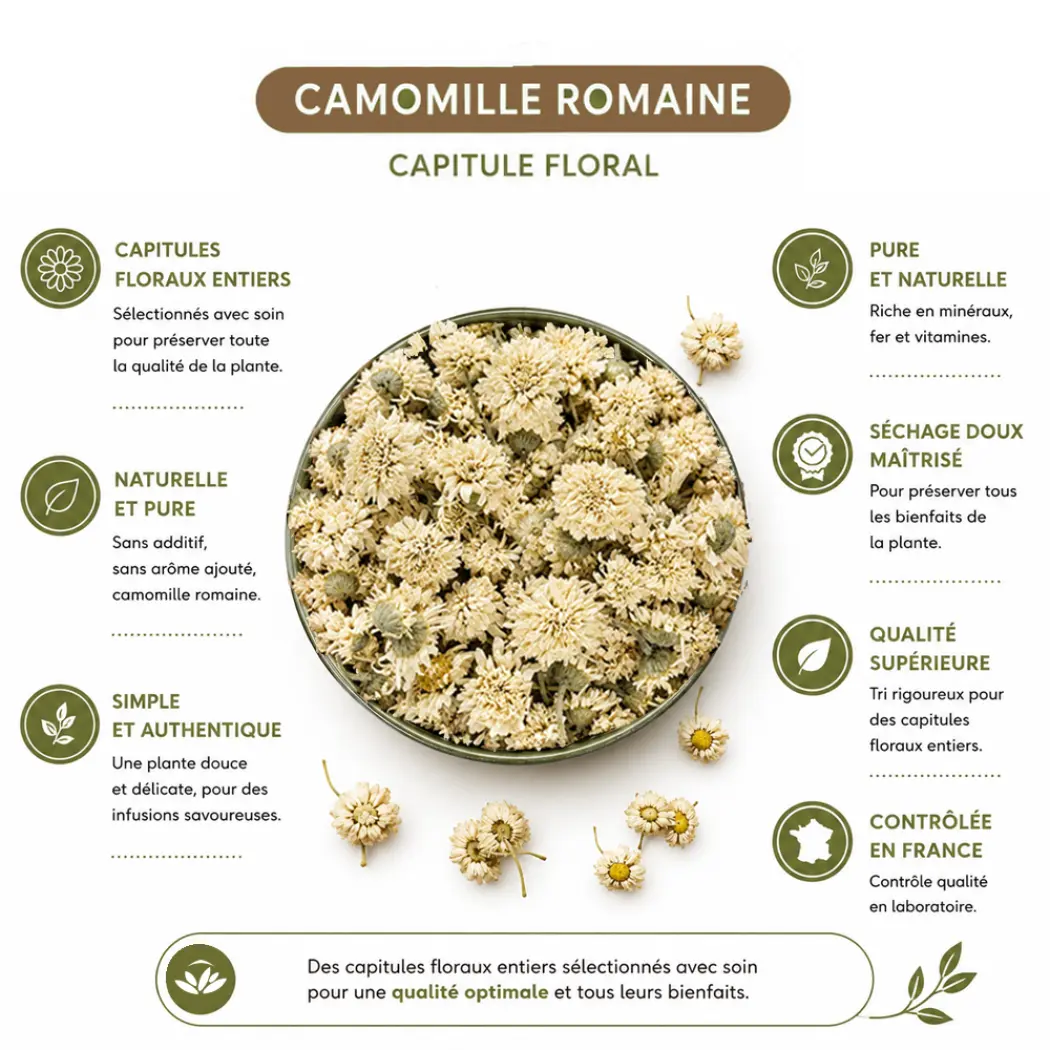 Tisane Camomille Romaine – Fleurs Entières – Origine France – Infusion Naturelle – Sachet 40 g – Herbes du Monde — Herbes du Monde