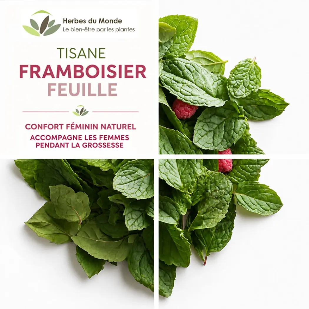 Tisane Feuilles de Framboisier – Infusion Naturelle – Sachet 40 g – Herbes du Monde — Herbes du Monde