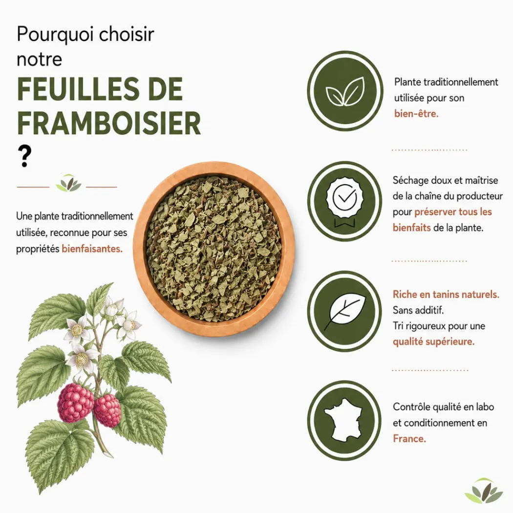 Tisane Feuilles de Framboisier – Infusion Naturelle – Sachet 40 g – Herbes du Monde — Herbes du Monde