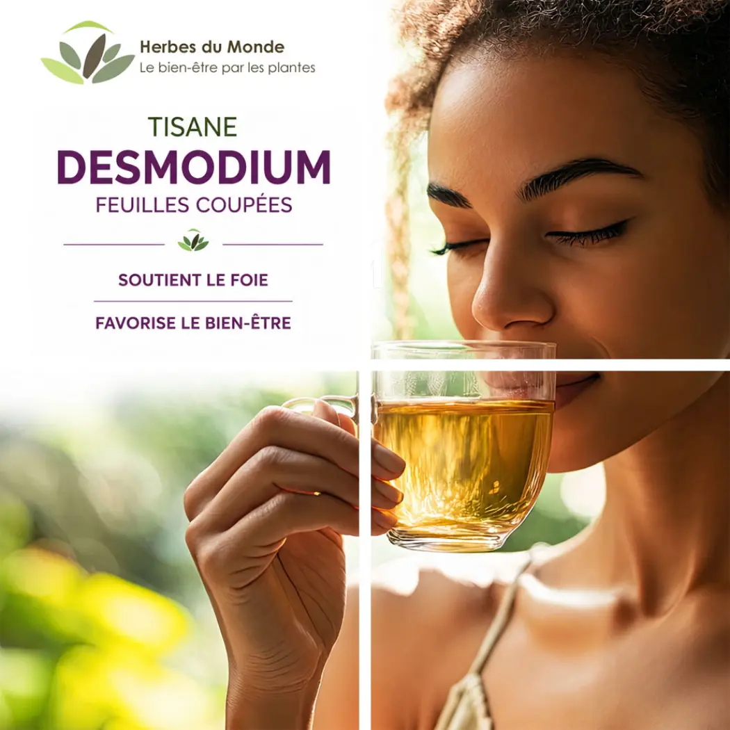 Tisane Desmodium – Feuilles Séchées – Desmodium adscendens – Infusion Naturelle – Sachet 40 g – Herbes du Monde — Herbes du Monde