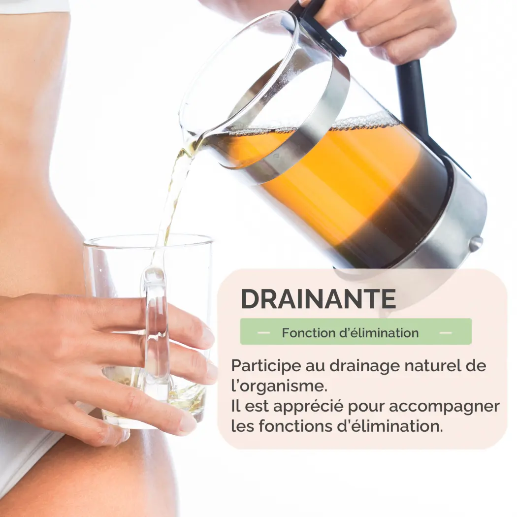 Tisane Desmodium – Feuilles Séchées – Desmodium adscendens – Infusion Naturelle – Sachet 40 g – Herbes du Monde — Herbes du Monde