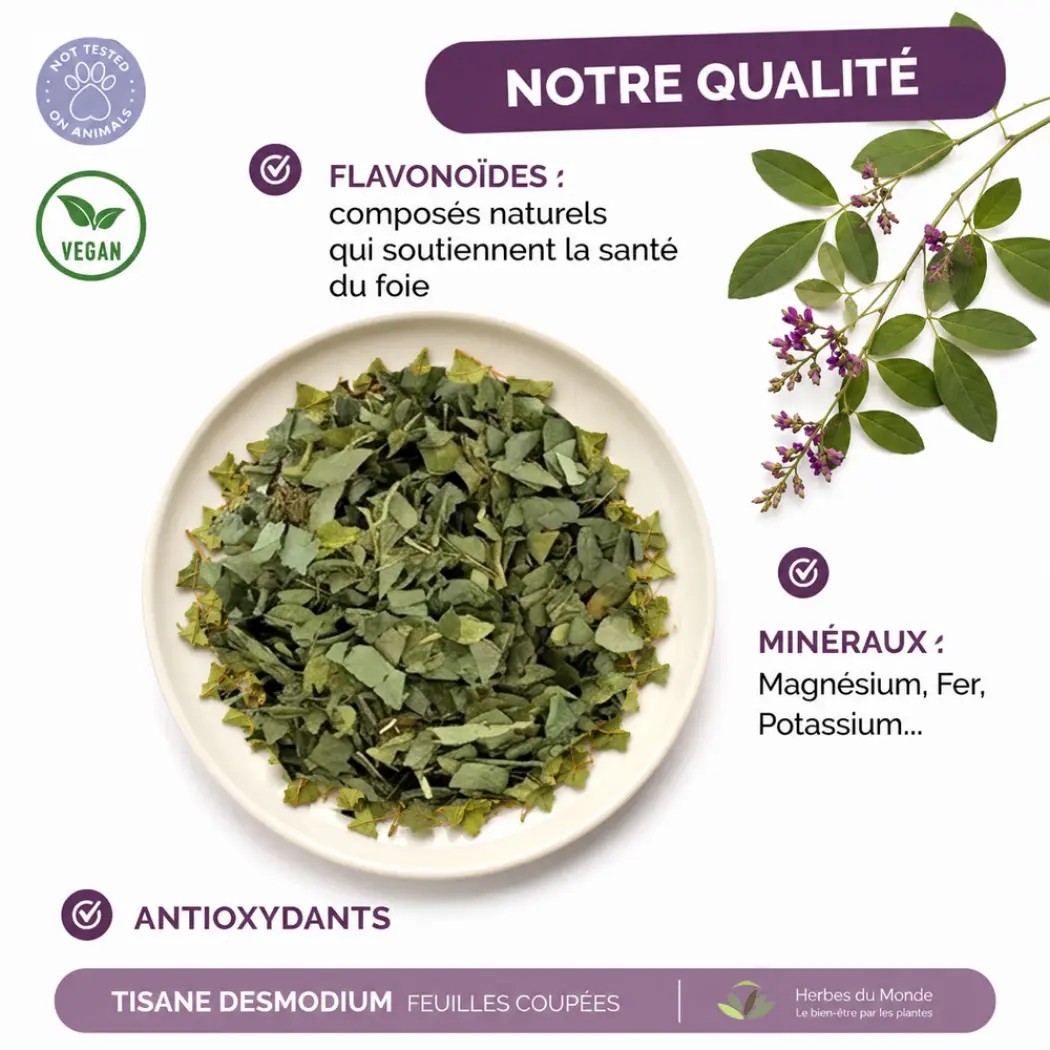 Tisane Desmodium – Feuilles Séchées – Desmodium adscendens – Infusion Naturelle – Sachet 40 g – Herbes du Monde — Herbes du Monde