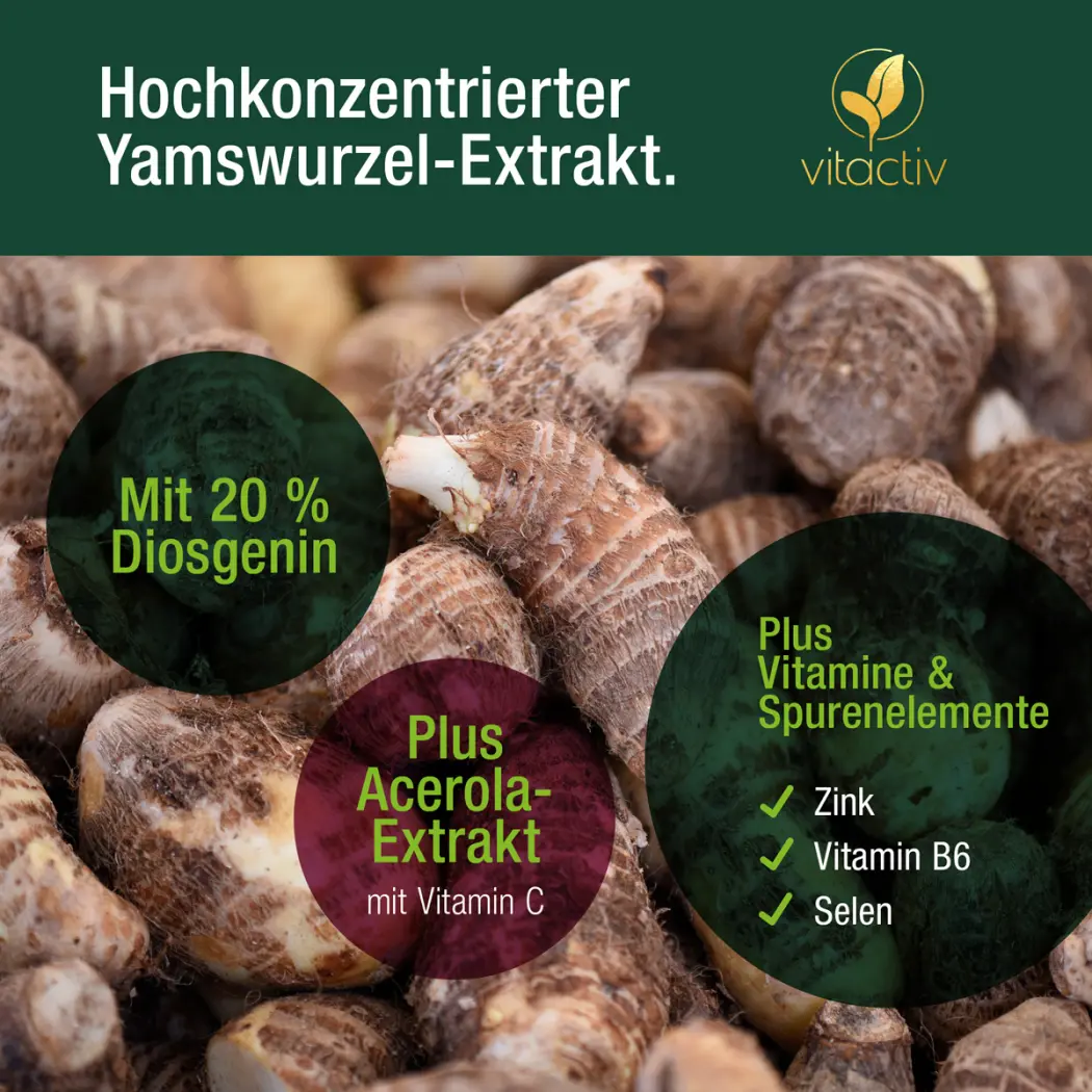 Vitactiv YAMSWURZEL WILD YAM — Green Future E-Commerce GmbH