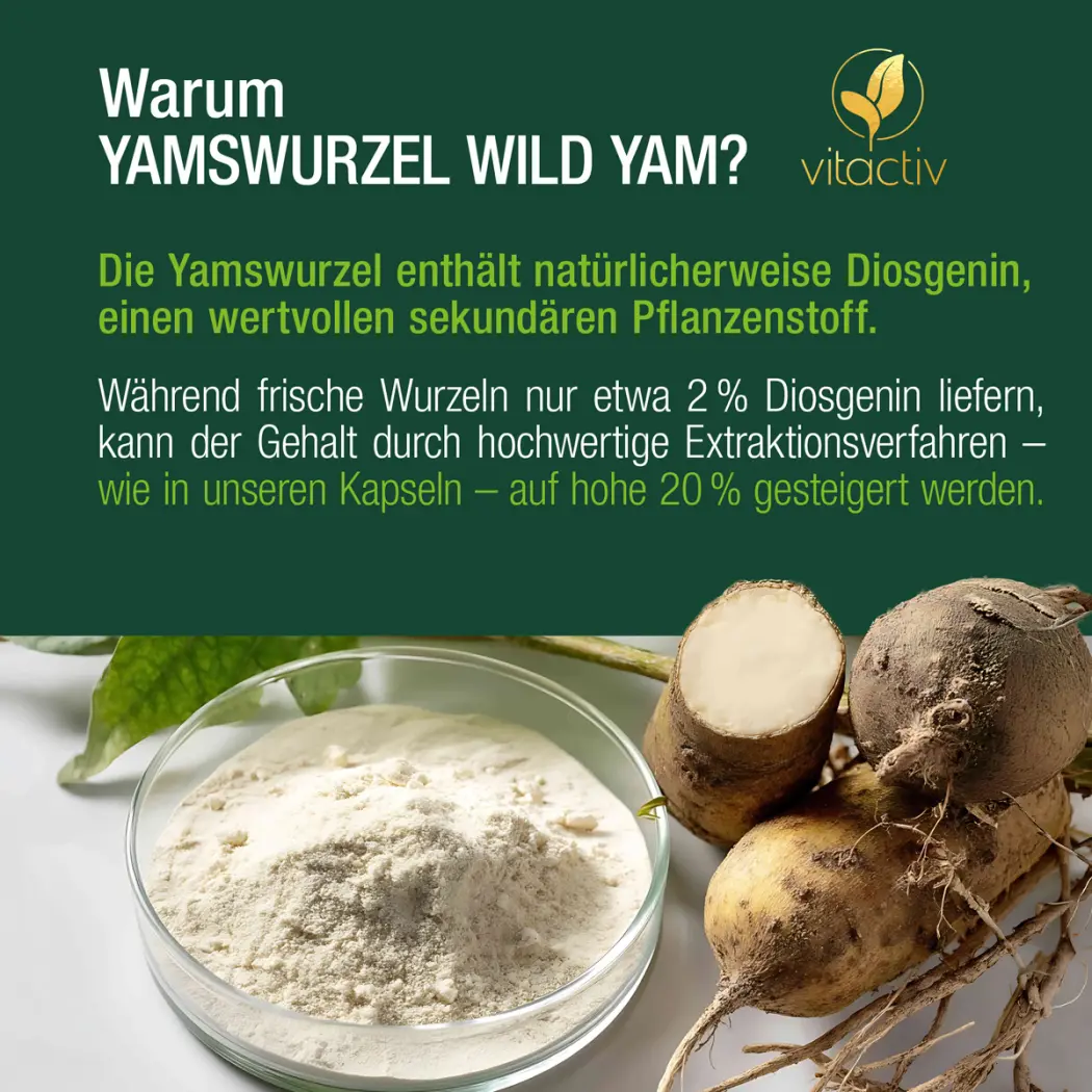 Vitactiv YAMSWURZEL WILD YAM — Green Future E-Commerce GmbH