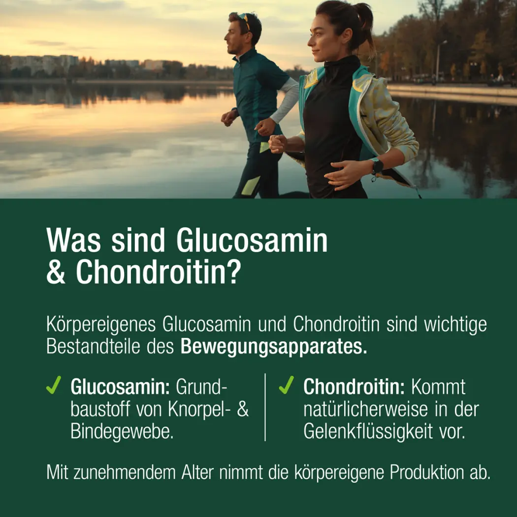 Vitactiv GLUCOSAMIN & CHONDROITIN — Green Future E-Commerce GmbH
