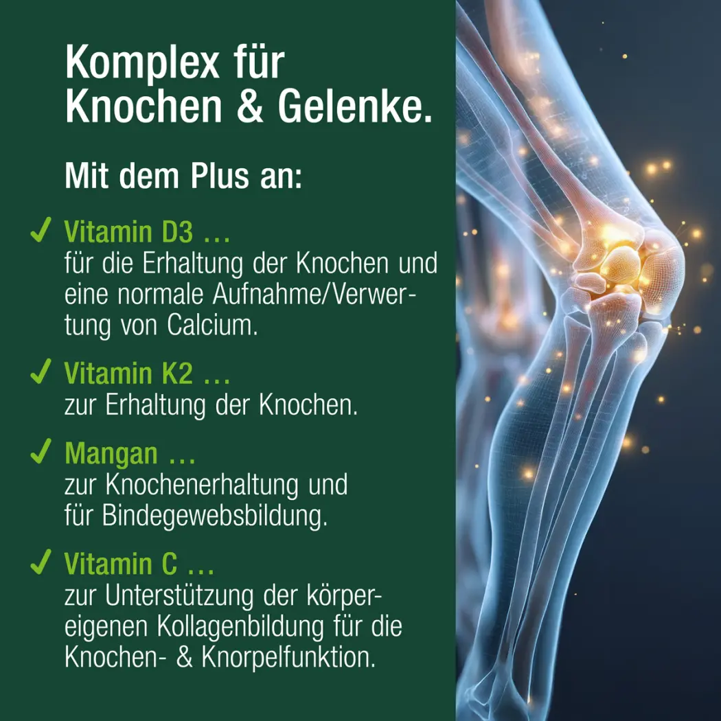 Vitactiv GLUCOSAMIN & CHONDROITIN — Green Future E-Commerce GmbH