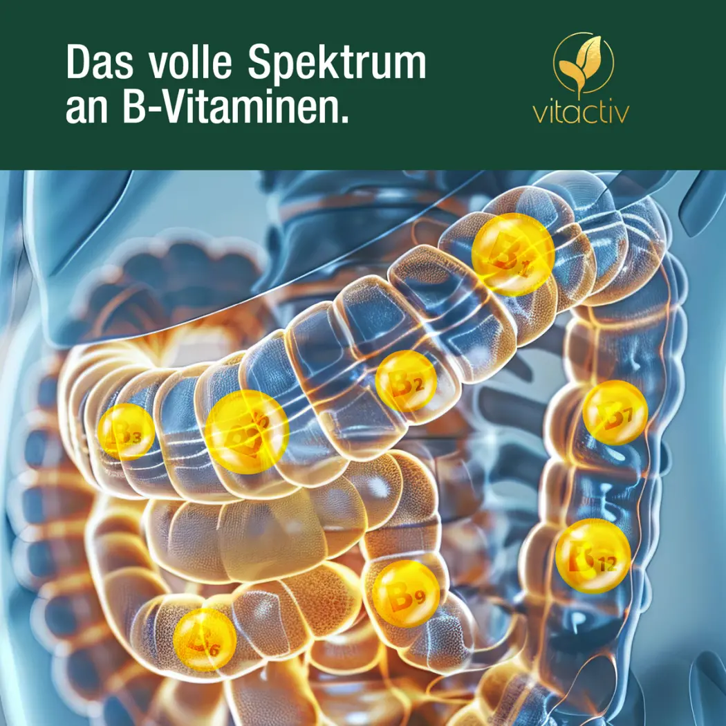 Vitactiv DARMFREUNDE — Green Future E-Commerce GmbH