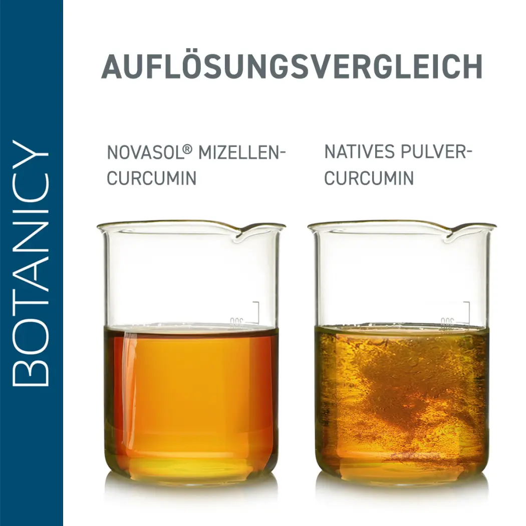 Botanicy CURCUMA forte — Green Future E-Commerce GmbH