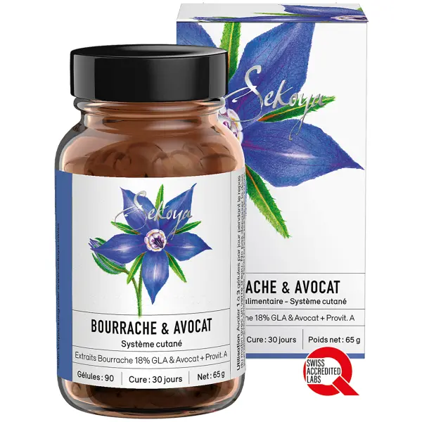 Bourrache & Avocat