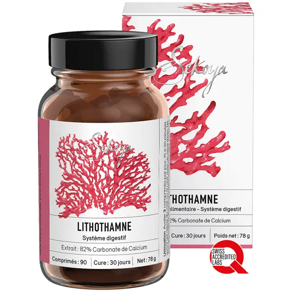 Lithothamne