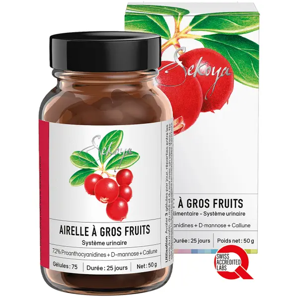 Airelles à Gros Fruits