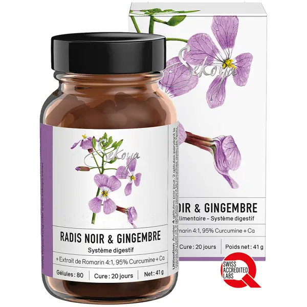 Radis Noir & Gingembre